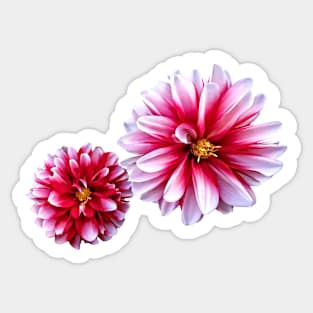 Dahlias Mommy and Child Hand In Hand Sticker